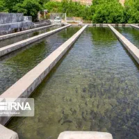 اجاره مزرعه کشاورزی و استخر پرورش ماهی
