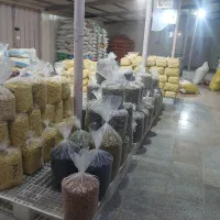 تولید و پخش عمده انواع تخمه