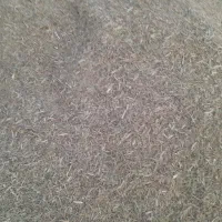 خار فروشی|لوازم جانبی حیوانات|تربت‌حیدریه, بازار|دیوار