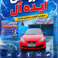 استخدام نیرو برای کارواش