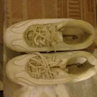 کفش|کیف، کفش، کمربند|اردبیل, |دیوار