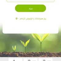 گمشده دسته چک