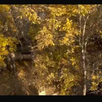 اجاره اپارتمان املاک اسپرس خانم میرزایی