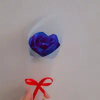 تک شاخه های روبانی روز مادر فقط ۷۰ تومن|گل مصنوعی|بروجرد, |دیوار