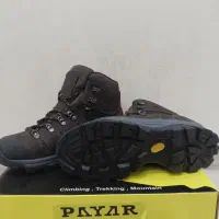 کفش پایار فالکون|کیف، کفش، کمربند|باقرشهر, |دیوار