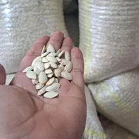 تخمه کدو گوشتی|خوردنی و آشامیدنی|اصفهان, ناژوان|دیوار