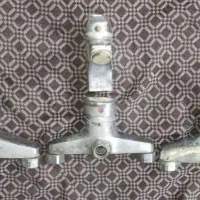 تعدادی شیر آلات سنگین وزن سالم