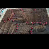 کوتاهی موهای بانوان