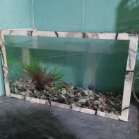 اکواریوم با ماهی و وسایل