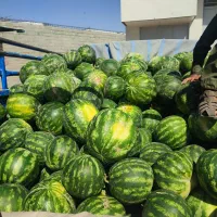 هندوانه فروشی