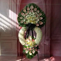 گل طبیعی تاج جام تاجگل دایره ای هلال درباری شبکه|گل و گیاه طبیعی|تهران, منیریه|دیوار