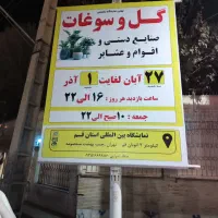 گل وگیاه اپارتمانی|گل و گیاه طبیعی|قم, پاسدار|دیوار