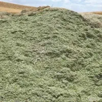 یونجه کوبیده شده