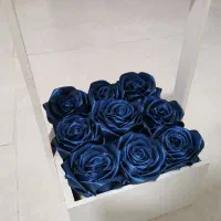 گل رز ربانی