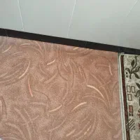 موکت