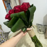 ۲۰ شاخه رز فقط ۲ تومن امروز بخرین کمترم میدم|گل و گیاه طبیعی|قدس, شهر‌قدس|دیوار