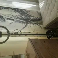 رینگ لایت|دوربین عکاسی و فیلم‌برداری|فردیس, داوری|دیوار