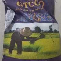 برنج هندی gtc جی تی سی
