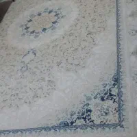 یک فرش نه متری درحدنوشسته شده|فرش|تاکستان, |دیوار