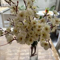 گلپیونی|گل مصنوعی|مریوان, |دیوار