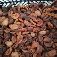 بادام نیمه کاغذی و سنگی|خوردنی و آشامیدنی|ماکو, |دیوار