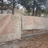 هردو باهم چهارتومن