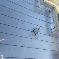 اجرای ونصب ایزوگام قیرگونی وآسفالت|خدمات پیشه و مهارت|تهران, ابوذر|دیوار