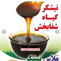 ملاس نیشکر تناژ خرده