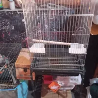 قفس کاسکو با پایه