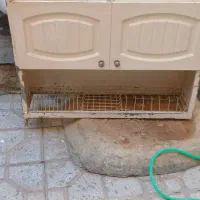 ابچکان کابینت هود|آب‌چکان و نظم‌دهنده ظروف|سنندج, |دیوار