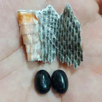 راهنمایی علوم غریبه دعا حرز و...|فعالیت داوطلبانه|اصفهان, نقش جهان|دیوار