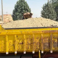 زیل مرغی(کود مرغ گوشتی)