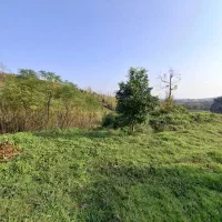 ۵۰۰ متر زمین ویو ابدی آرام و بی سر و صدا