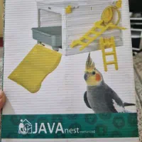 لانه پرنده