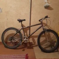 دوچرخه۲۴مارک ویوا