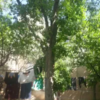 خانه-ویلایی