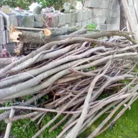 چوب هیزومی موجودهست