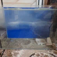 شیشه اکواریوم