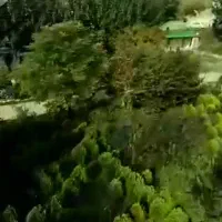 تور گردشی یه روزه  توسکستان  مجموع فانوس|تور و چارتر|گرگان, |دیوار