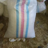 پرلیت گل و گلدان