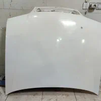 کاپوت زانتیا