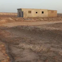 مزرعه-پرورش-میگو20هکتاری-درآبادان