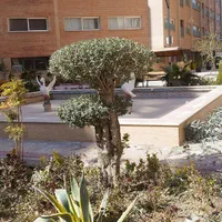 هرس کاری درختان سرو .لافسون .شمشاد باغ وویلا|خدمات باغبانی و درختکاری|مبارکه, |دیوار