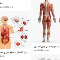 نوبت دهی پزشکان شیراز