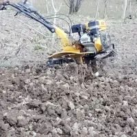 شخم زدن باغ