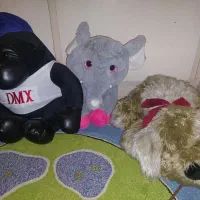 عروسک پولیشی پنگوئن خرس تدی سگ میمون گوریل خرگوش|اسباب‌‌بازی|تهران, فلسطین (میدان انقلاب)|دیوار