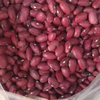 لوبیا قرمز و لوبیا چیتی|خوردنی و آشامیدنی|تهران, شهرک گلها|دیوار