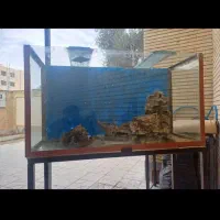 آکواریوم بزرگ باسنگ قیمت توافقی