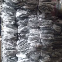 شورت حراجی عمده یکجا