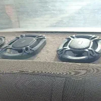 باند پاناتک